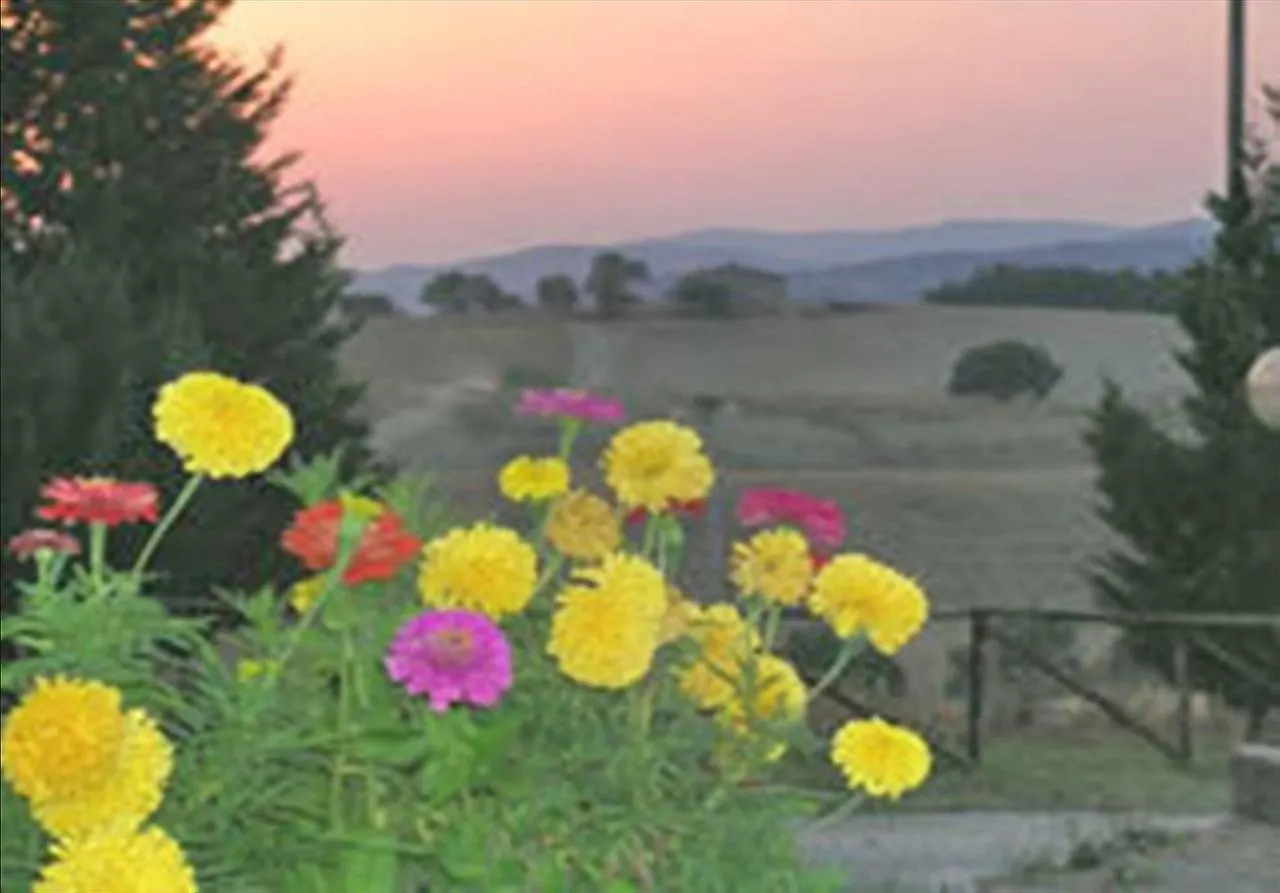 Wine Resort Colsereno Montalcino