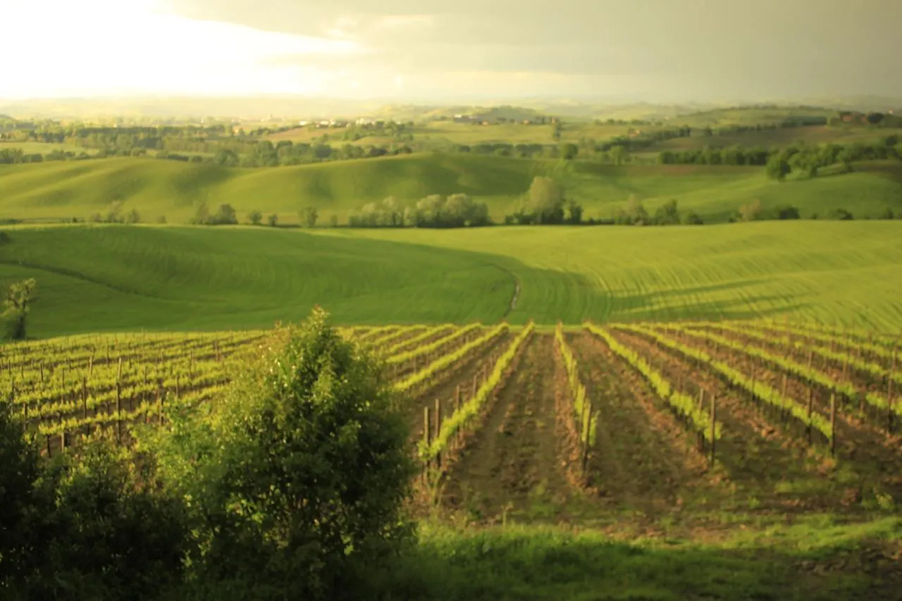 Wine Resort Colsereno Montalcino Farm stay